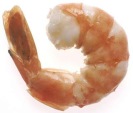 jumbo-shrimp1